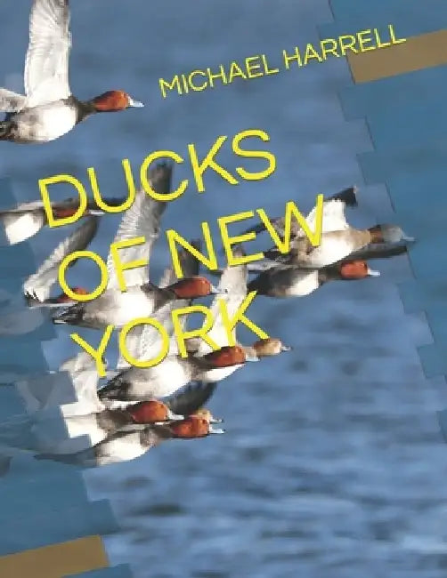 Ducks of New York by Michael Harrell