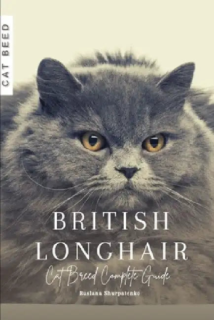 British Longhair: Cat Breed Complete Guide by Ruslana Shurpatenko