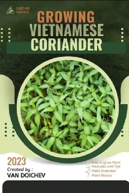 Vietnamese Coriander: Guide and overview by Van Doichev