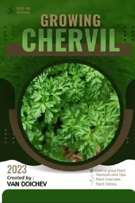 Chervil: Guide and overview by Van Doichev