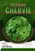 Chervil: Guide and overview by Van Doichev