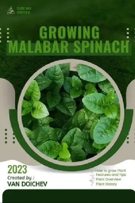 Malabar Spinach: Guide and overview by Van Doichev