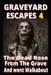 Graveyard Escapes 4: 100 AI images of zombies, living dead and the undead. by Peter J. Sinclair