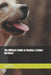 The Ultimate Guide to Owning a Golden Retriever by Jay Bee