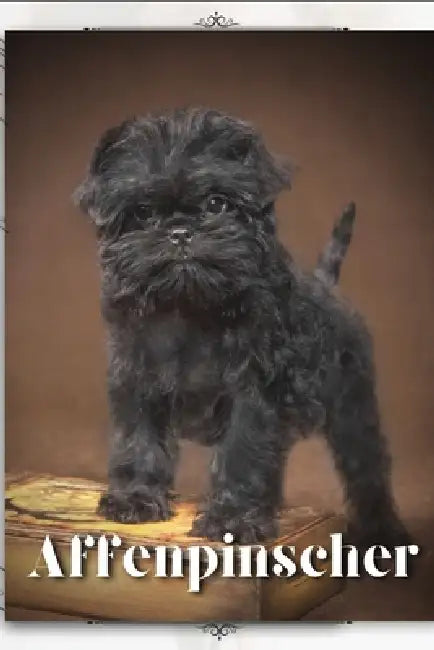 Affenpinscher: Dog breed overview and guide by Nina Pustova