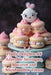 Fluffy Delights: 94 Adorable Meringue, Macaron and Marshmallow Treats by Coastal Culinary Cafe