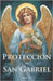 La Protección de San Gabriel by Cruz, Saúl