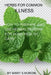 Herbs for Common Illnesses: How to Prepare and Use Herbal Remedies for Home Health Care by Mary S. Nordin