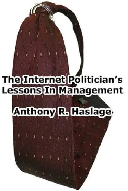 Lessons In Management: The Internet Poltician by Anthony Haslage