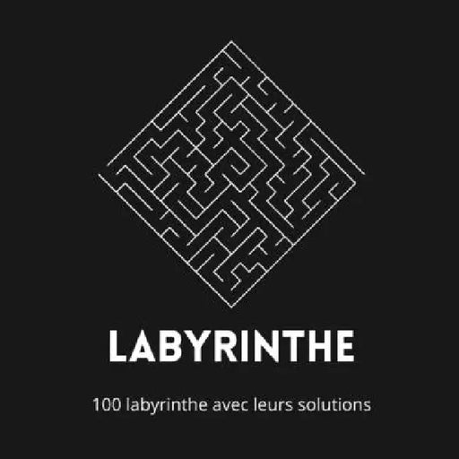 Labyrinthe: 8.5* 8.5* inch 200 page by Med Amine