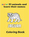 color 51 animals and learn their names coloring book: 51 Super Fun and Easy Drawings with Sloths, Llamas, Bears, Horses, Dolphins, Dogs, Cats and More by Pron Fort