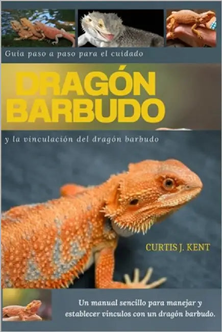 Guía paso a paso para el cuidado y la vinculación del dragón barbudo sub title: Manual sencillo: Un manual sencillo para manejar y establecer vínculos by Kent, Curtis J.