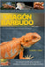 Guía paso a paso para el cuidado y la vinculación del dragón barbudo sub title: Manual sencillo: Un manual sencillo para manejar y establecer vínculos by Curtis J. Kent