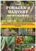 The Forager's Harvest Guide Calender 2024 Edition: The Unique Way to Identifying Wild Foods, Preparing and Storing the Harvest. Guide with Pictures. by O. I. Martin
