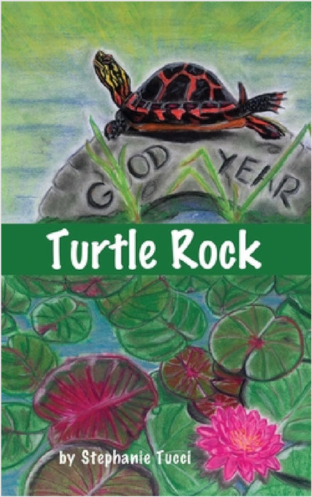 Turtle Rock by Stephanie Tucci