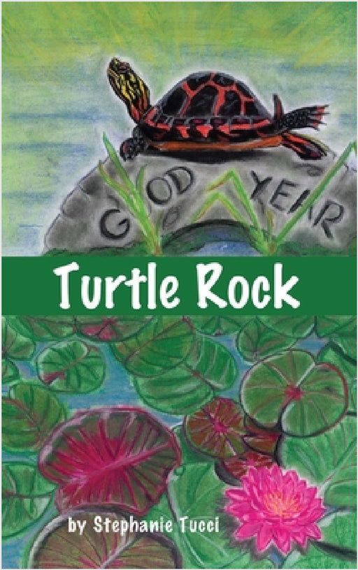 Turtle Rock by Stephanie Tucci