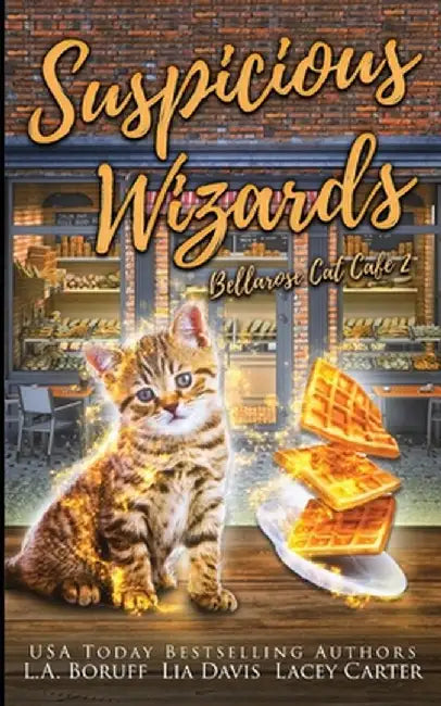 Suspicious Wizards: A Paranormal Women's Fiction Cozy Mystery by L. a. Boruff