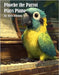Phoebe the Parrot Plays Piano by Johnson, Kelly