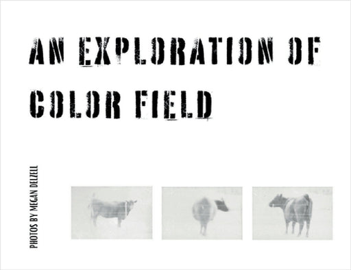 An Exploration In Color Field by Megan Delzell
