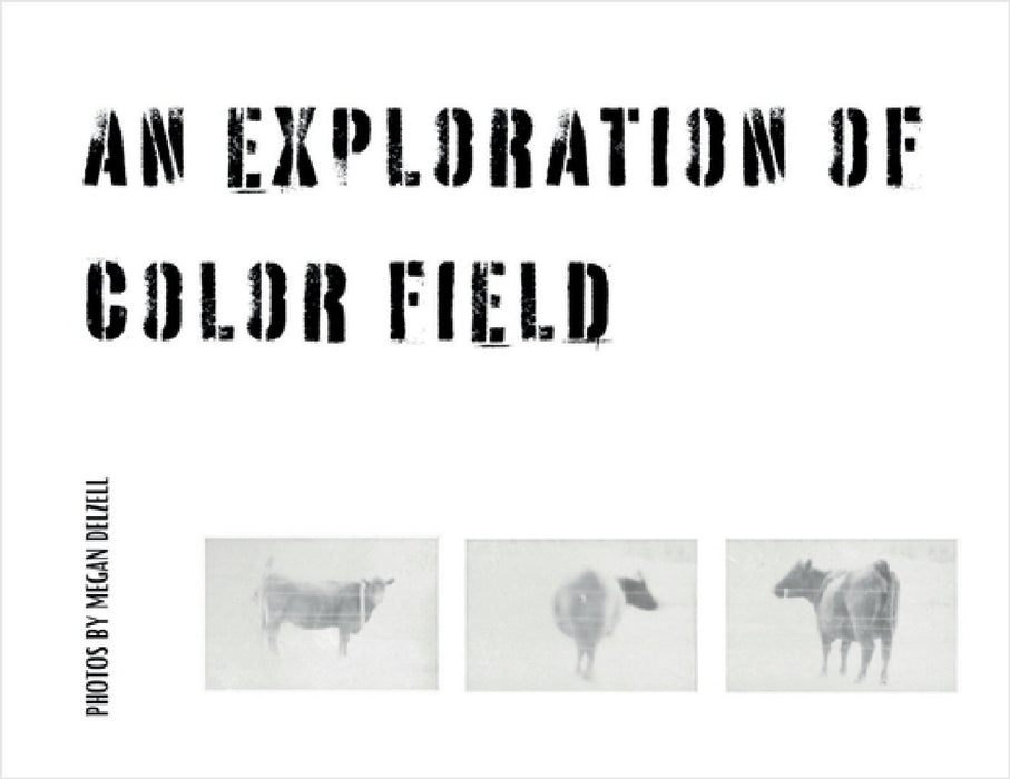 An Exploration In Color Field by Megan Delzell