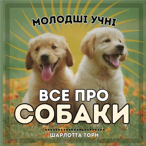 Молодші учні, ВСЕ ПРО СОБh by Charlotte Thorne