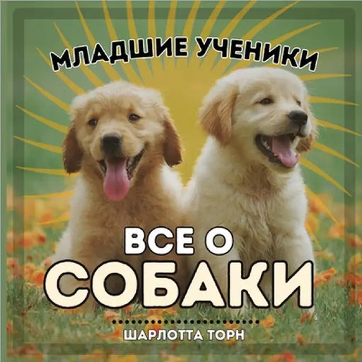 Младшие ученики, ВСЕ О СОh by Charlotte Thorne