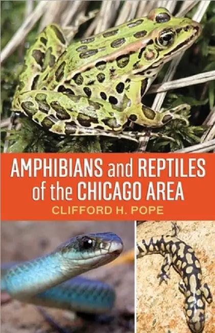 Amphibians and Reptiles of the Chicago Area by Clifford H. Pope