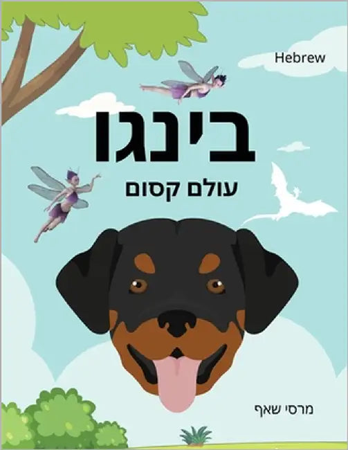 בינגו עולם קסום (HEBREW English Bilingual) Bingo's Magical World by Schaaf, Marcy