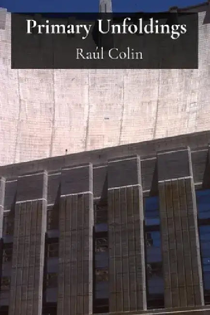 Primary Unfoldings: Optimal Resource Use in Concrete Works by Raúl Colin