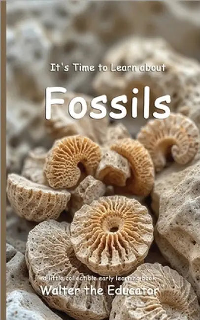 It's Time to Learn about Fossils by Walter the Educator