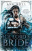 Ice Lord's Bride: A Fantasy Romance by Ross, Ava