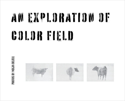 An Exploration In Color Field by Megan Delzell