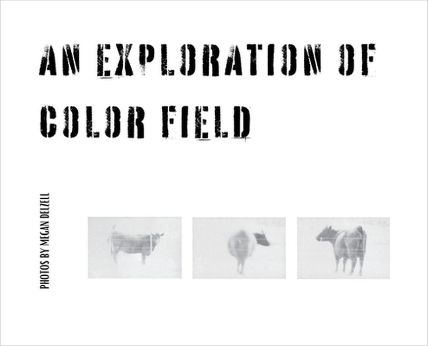 An Exploration In Color Field by Megan Delzell