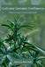 Cultivate Cannabis Confidence: A Beginner's Guide to Successful Weed Growth by Jessica Bennett