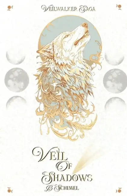 Veil of Shadows by B. Schimel