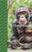 It's Time to Learn about Chimpanzees by Walter the Educator