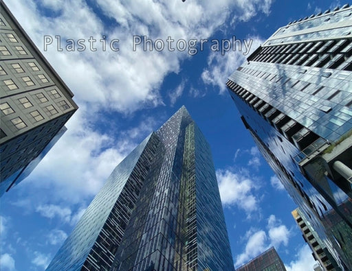 Plastic Photography 2k23: Seattle's Safari by Michael Andrew Lambert