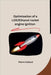 Optimisation of a LOX/Ethanol rocket engine ignition by Pierre Collard
