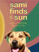 Sami Finds the Sun by Alves Fortes, Tessa