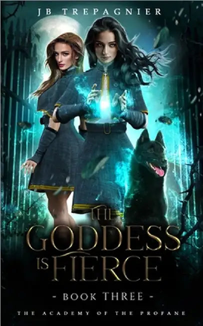 The Goddess is Fierce: A Paranormal Academy Why Choose Romance by Jb Trepagnier