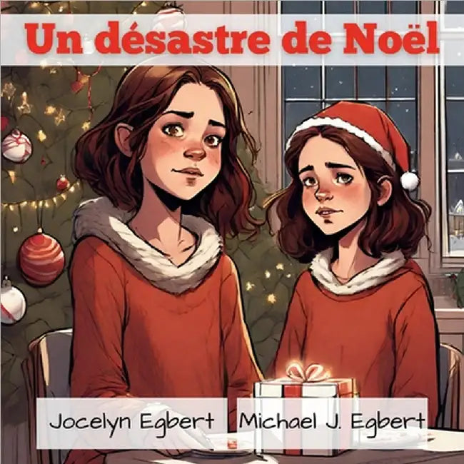 Un désastre de Noël by Jocelyn Egbert