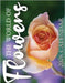 The World of Flowers 2026 Calendar by Patrick, B.