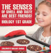 The Senses of Smell and Taste Are Best Friends! - Biology 1st Grade Children's Biology Books by Baby Professor