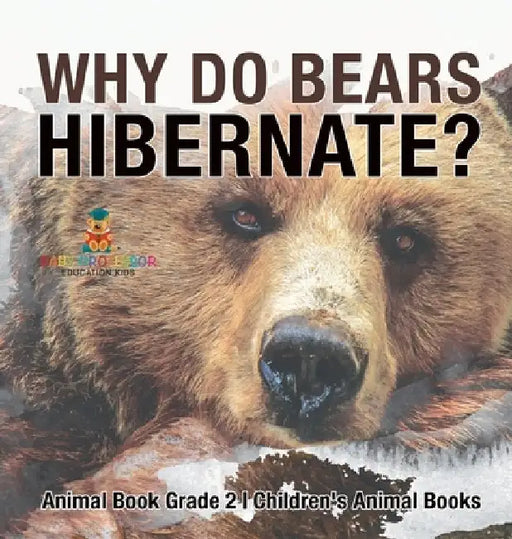 Why Do Bears Hibernate? Animal Book Grade 2 Children's Animal Books by Baby Professor