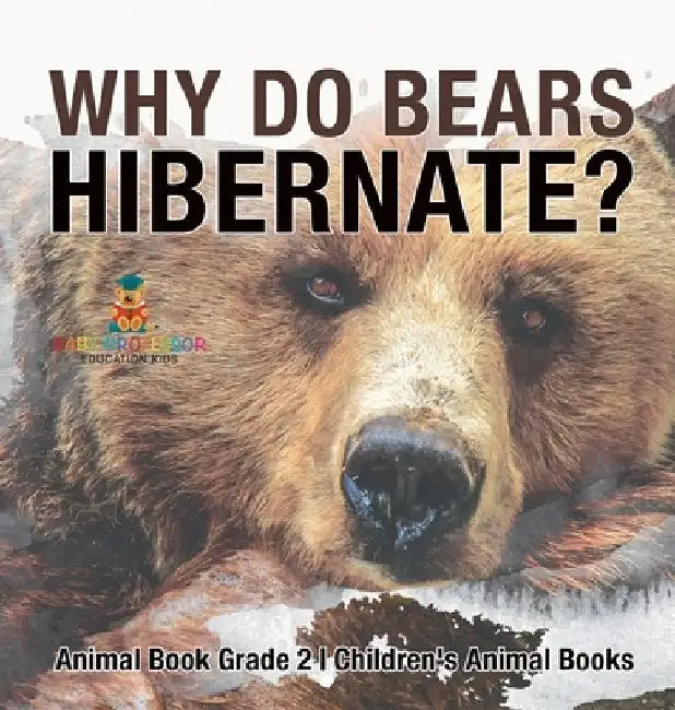 Why Do Bears Hibernate? Animal Book Grade 2 Children's Animal Books by Baby Professor