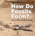 How Do Fossils Form? The Earth's History in Rocks Children's Earth Sciences Books by Baby Professor