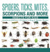 Spiders, Ticks, Mites, Scorpions and More Insects for Kids - Arachnid Edition Children's Bug & Spider Books by Baby Professor
