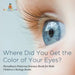 Where Did You Get the Color of Your Eyes? - Hereditary Patterns Science Book for Kids Children's Biology Books by Baby Professor
