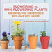 Flowering vs. Non-Flowering Plants: Knowing the Difference - Biology 3rd Grade Children's Biology Books by Baby Professor