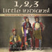 1, 2, 3 Little Indians! Native American Indian Clothing and Entertainment - US History 6th Grade Children's American History by Baby Professor